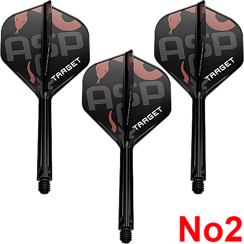 TARGET K-FLEX Nathan Aspinall Standard No2