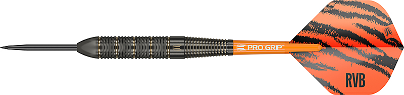 TARGET Raymond van Barneveld Brass 22g