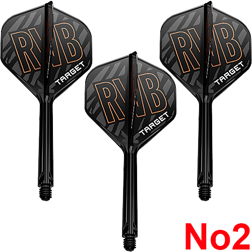 TARGET K-FLEX Raymond van Barneveld Standard No2
