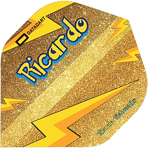 DATADART Ricardo Pietreczko Gold 150 Mircron No2