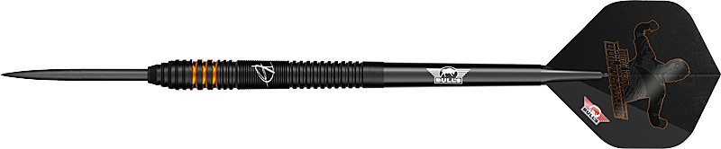 BULLS NL Dirk van Duijvenbode E2 90%