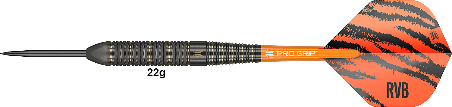 TARGET Raymond van Barneveld Brass 22g