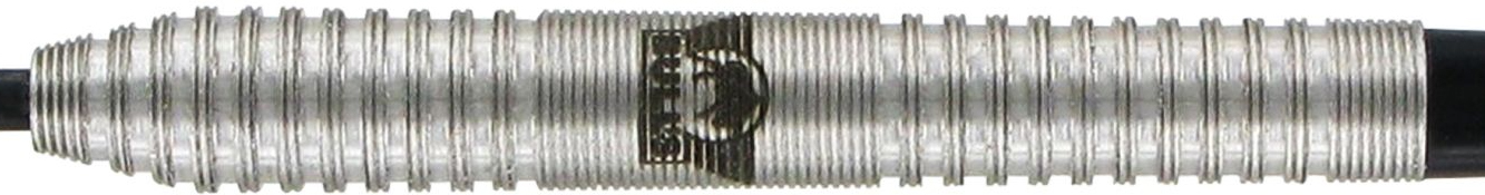 BULLS NL Dirk van Duijvenbode