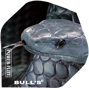 Power Flite standard